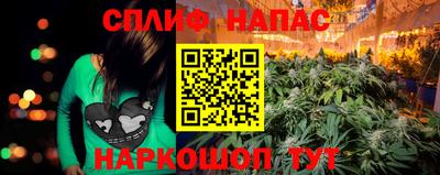 гашик Краснодар