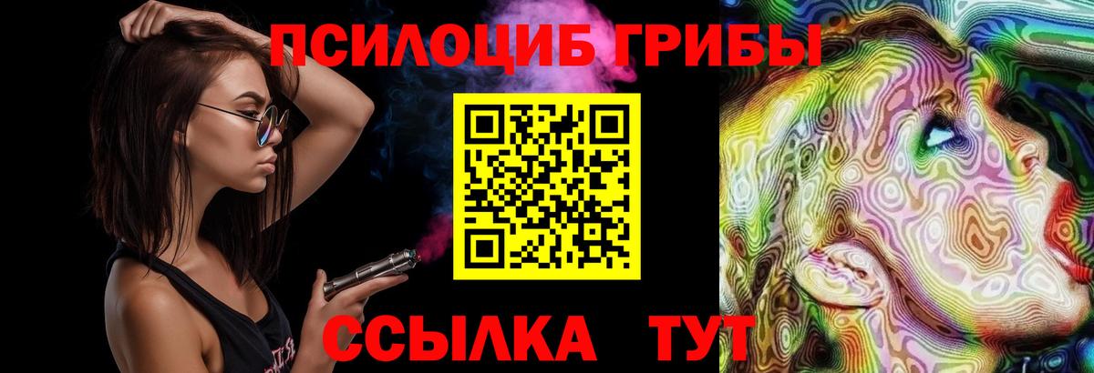 Домодедово  Псилоцибиновые грибы Magic Shrooms  Вход с VPN 